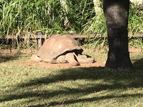 ba2ea7e8-cbb2-4572-b5bb-33f3663ab6cb