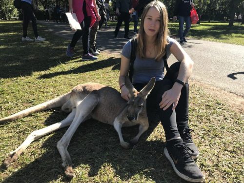 ba35ab3a-e5da-4342-a0dd-88b2dab3627b