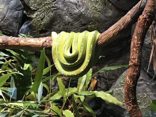 ba90a565-4ae3-4883-973c-adf4548f86a3