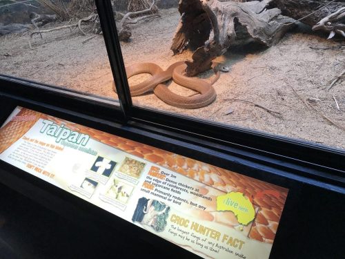 bcfd6d98-5aea-43e1-8602-8a5e15997c4d