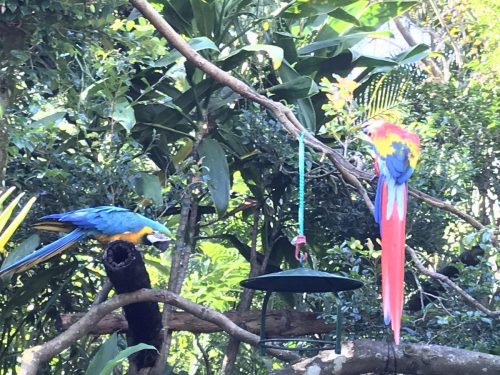 becc6fac-c97f-41be-8cf1-4a7b694d7eb6