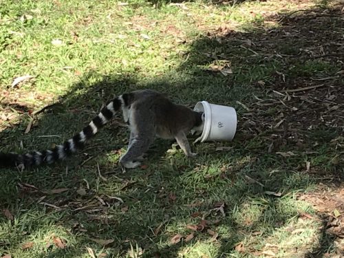 c3e4719e-adee-40e3-8bc6-33dd304e454b