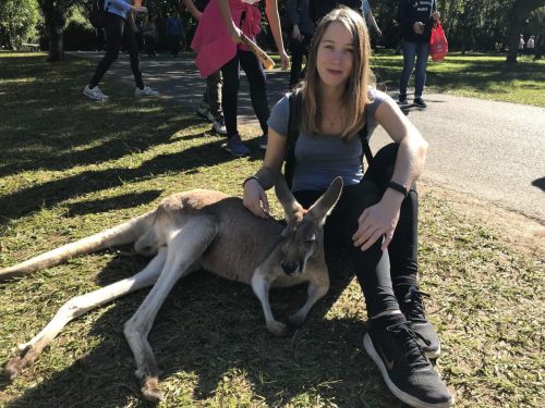 c68d8d3d-1f09-4d28-ad43-6acc6aa2f2eb