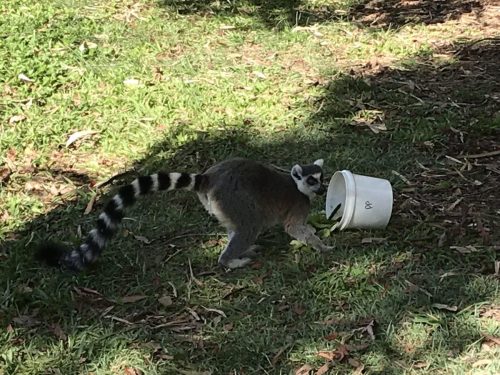 c7b3d1ae-95e7-4a63-8f74-c678d5e53ab1