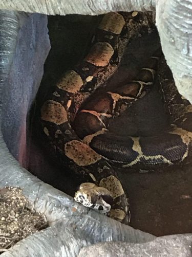 c9214efa-f6b5-4bd0-8236-fcfbe5c3af72