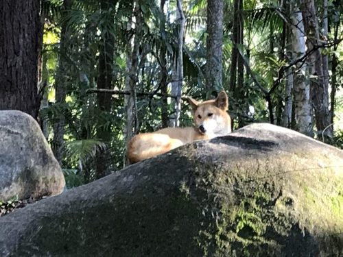 c9905b3c-81a8-4609-9894-338ad913ec6a