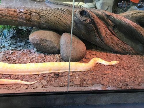 ca4a2daa-bf0c-4628-9164-ddfb45dc6aa1