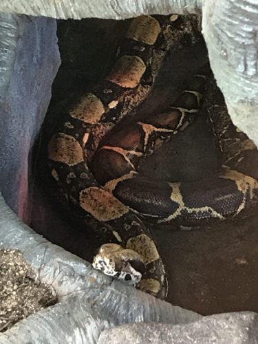 cc0af352-d165-4780-a038-5dd3330e7720