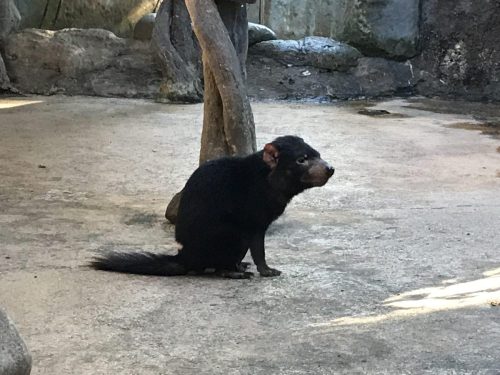 d87402a2-4d6c-406e-b2f7-98511c596f1f