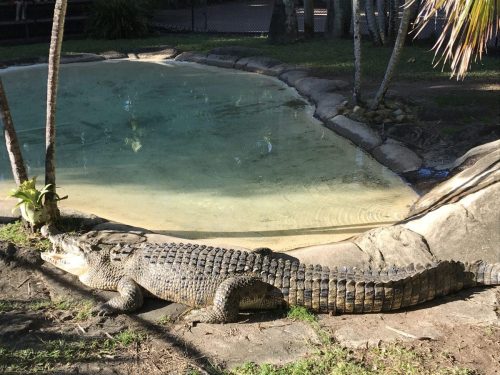 dcee3b03-48cb-4f00-a72e-fa4da7e179ef