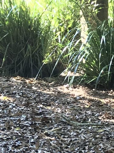 dd12ae2c-3379-414a-9247-eb6132493f37