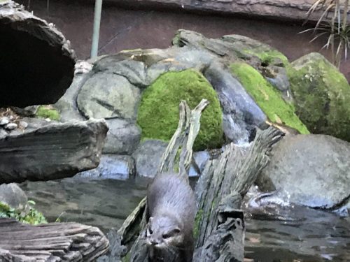 e1a03bfb-3ed4-4c37-acf3-0b8027d112e7