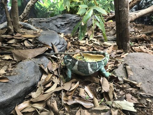 eb2e6f04-0d1b-4a01-963c-354b11d92d48