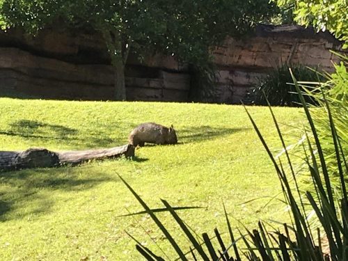 ed7ed48a-2a3e-42c8-9c13-004abf76f2fe