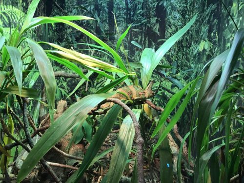 f14b680b-daa1-426e-8616-be2a3acd8ca2