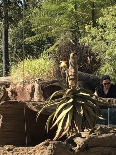 f51ec16a-7be3-4908-8f09-1ee3d9380b49