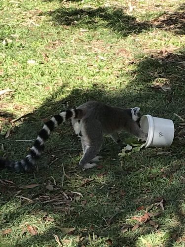 f7c399b3-e591-4fb3-899f-a70598f3ab33