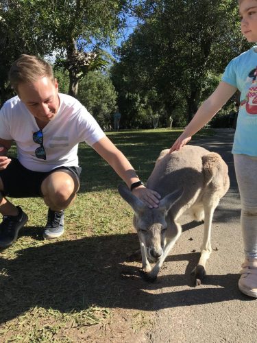 f98edf78-5f82-4ea6-908f-da6e61aa4255