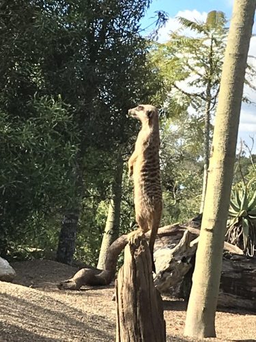 fa1059a7-4b35-410b-8af3-a1dbccc63daa