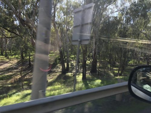 00f378f8-f849-4e13-afda-04f23063389f