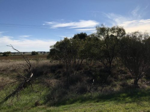 07cc0617-477d-4432-bd64-2ddf0ad050f1