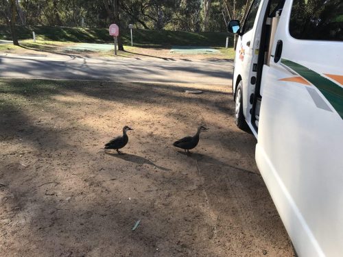 166b863b-3f82-4af6-8f01-318d3ada024d