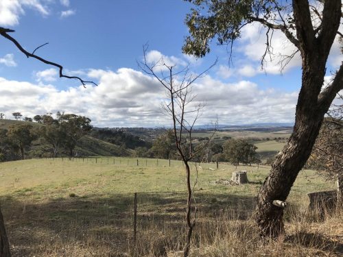 19fb29c2-d931-42dd-b520-94102ae529ba