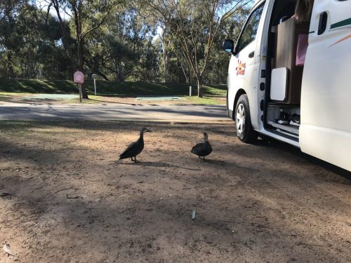 20455f4f-0ed3-464f-8e60-dc4120e58444