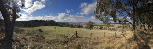 3410c89f-fa07-4c53-85f6-fbb738d157da