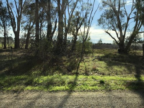 38e0a164-72dd-4e4c-9c97-76d9de1215a2