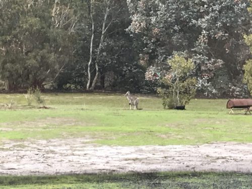 413999ae-2ceb-48b3-8fc1-0670f389c3d3