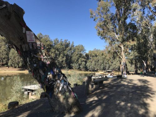 63aa747d-8ffb-437f-a1ad-de607c44fd15