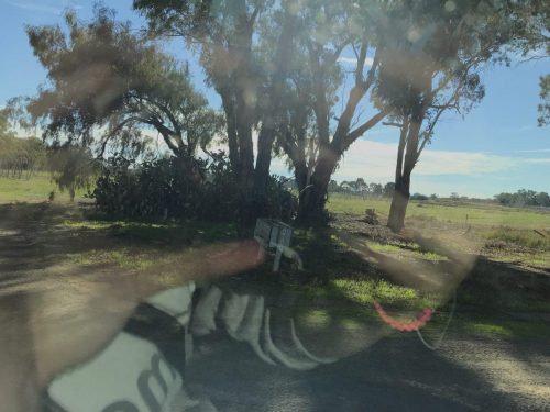 84a8a667-63fe-4ea7-afd9-ac136958fce4