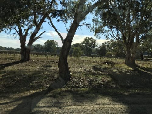 96603e04-9b98-454f-81f9-30432f53c9b0