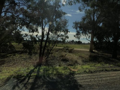 9f762731-6008-4435-a3b2-cde9a70bbbbb