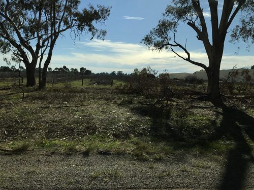 a79e794f-583d-4c99-9a66-d06e6b4b8ea8