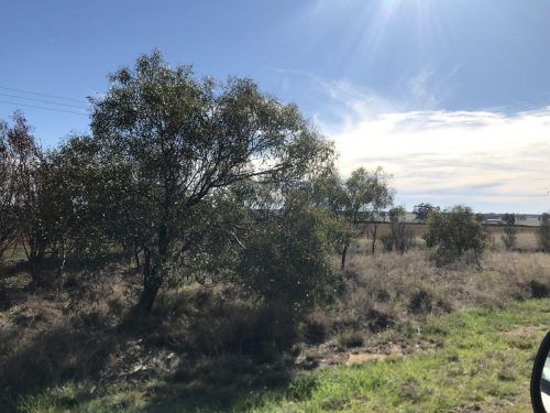 b200876c-c516-4a0d-9b54-12d26166ddcd