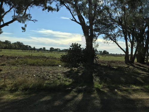 be088d80-3856-4929-94f9-30162e410257