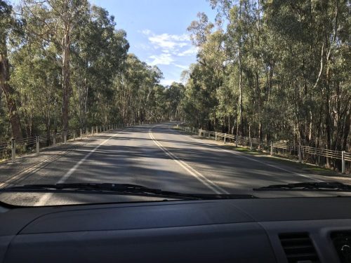 e2149253-56ff-4695-bd55-2ec7b7d6a05e