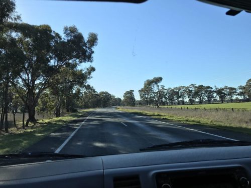 ed69ddd7-d3b7-4eb2-84dd-04ce56a84974