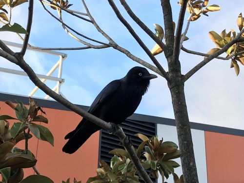 f718da72-1d71-4dc5-90e3-8fd12f6a243d