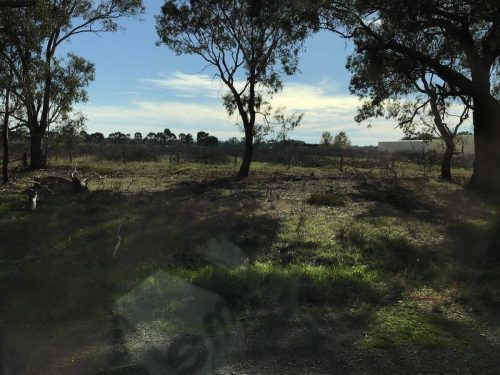 fb54759e-77e9-41c7-8eff-b8f32b13e9f7