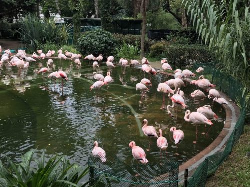 335aafab-a24b-4d8d-aeef-cd7c6a4c69e2