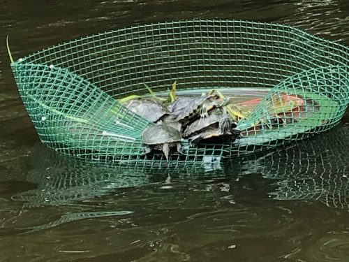 3557e9e3-666d-498f-bdad-e9e18229e501