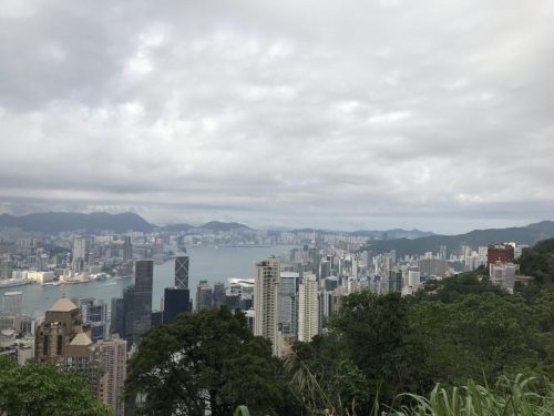 3e1a0210-ceca-41b8-93bd-b1f7ada146dc