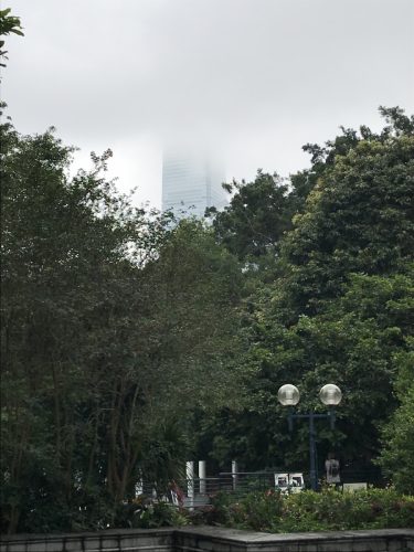 44909d61-6103-4713-bfa5-8ea789a6f41a