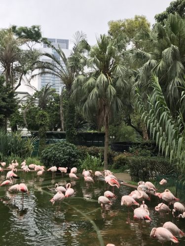 49d792bf-c068-4494-a419-6c06cd3de04e