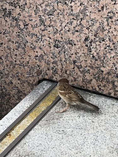 594e1346-c150-41f7-88d0-96ee231bb824