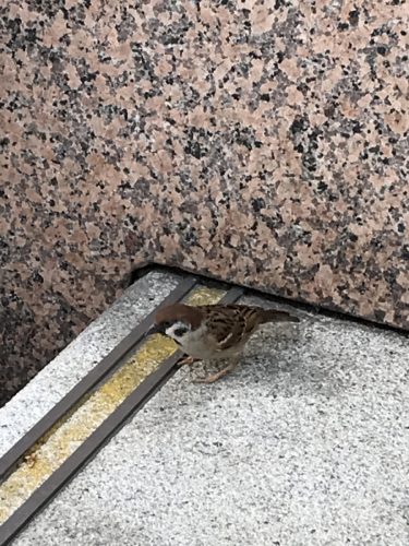 6dab20e5-5ffb-423d-8ac1-fb9a75fe2bb6