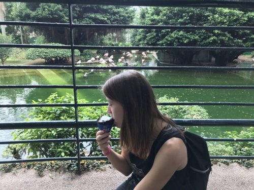 8bc096cc-782a-44cf-af67-2b64b1b5ff34